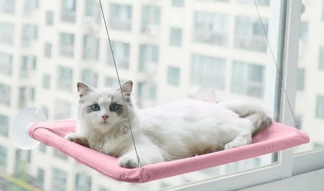 Cat Window Hammock