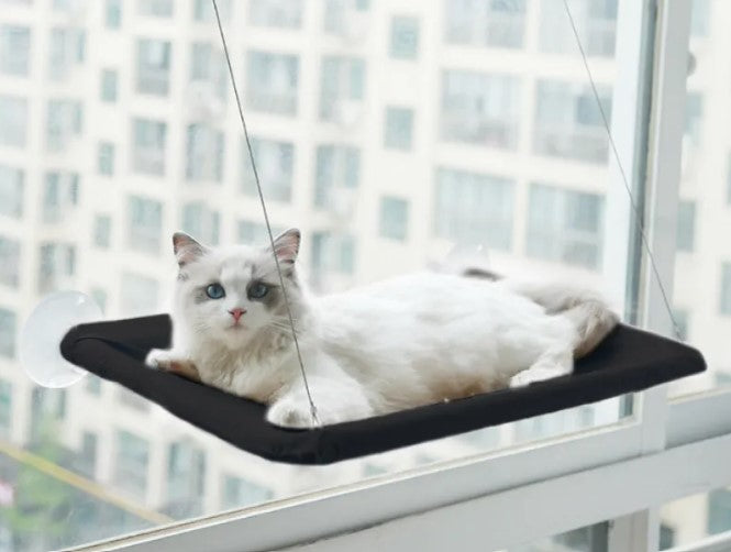 Cat Window Hammock