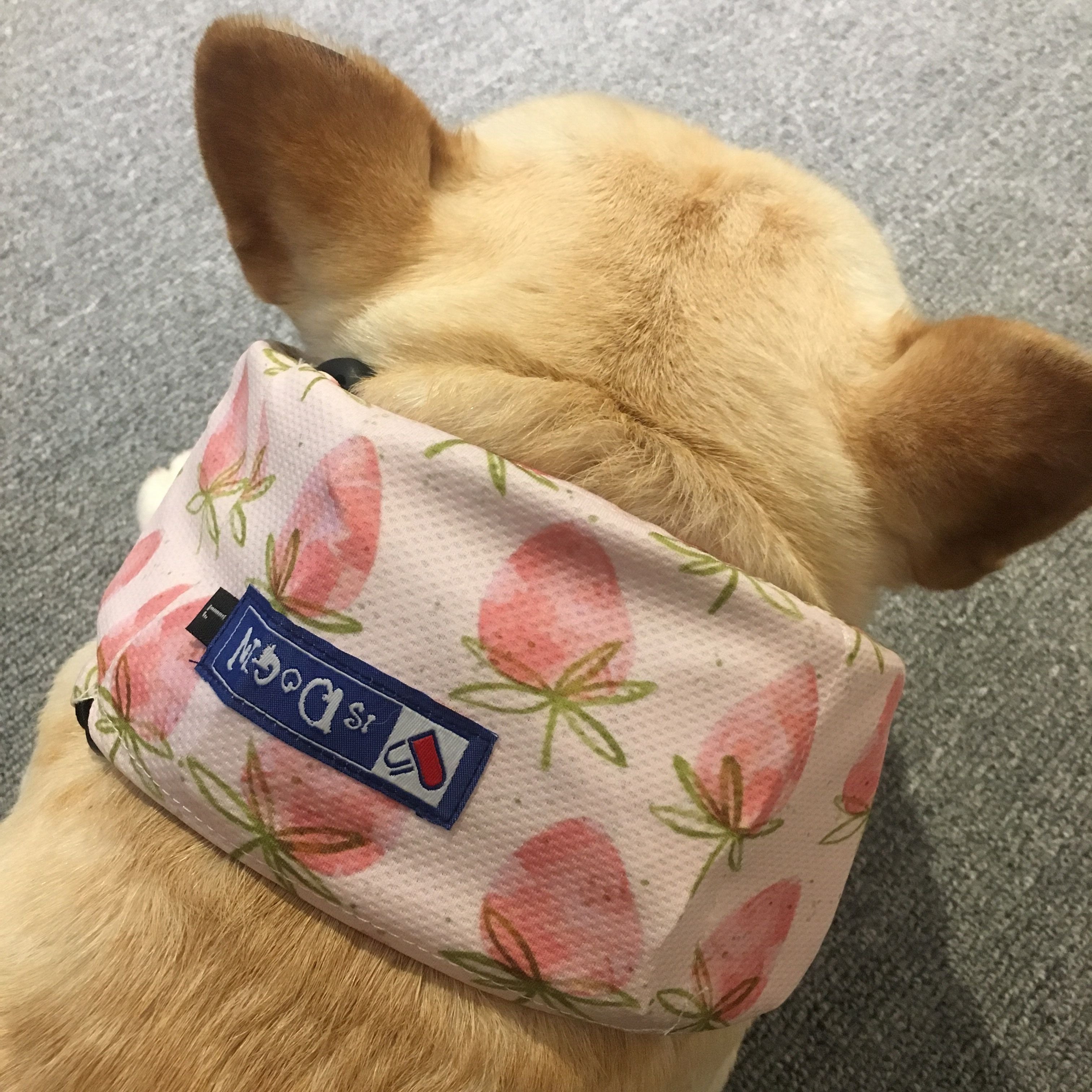 Dog Cooling Ice Scarf for Heat Relief