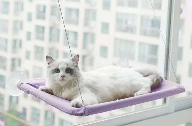 Cat Window Hammock