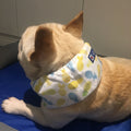 Dog Cooling Ice Scarf for Heat Relief