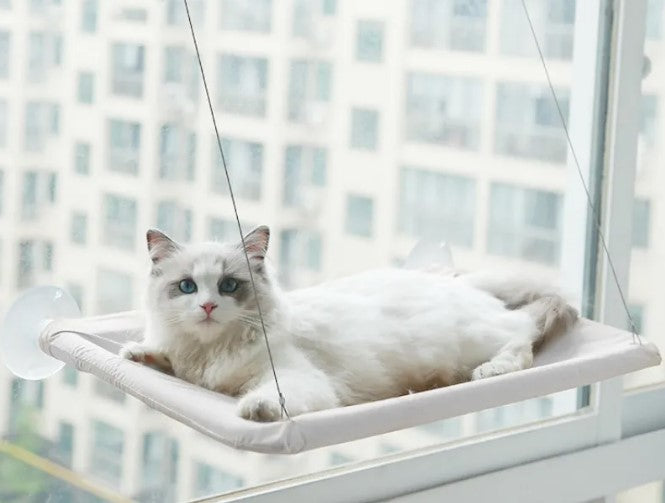 Cat Window Hammock